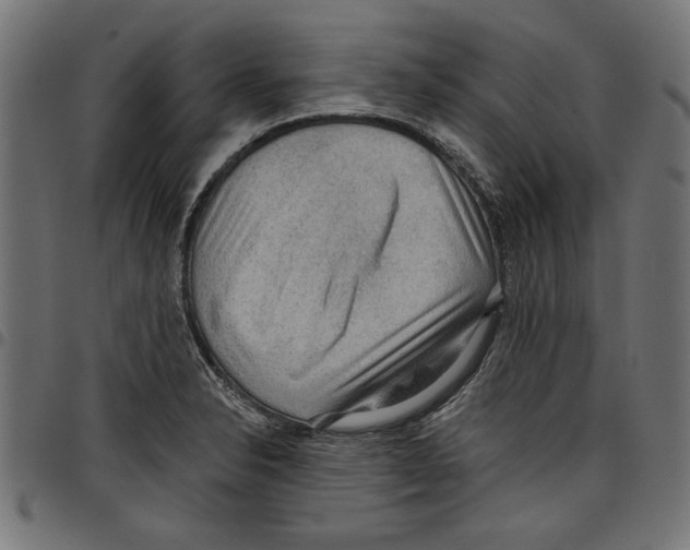 X0000097651326200803280920