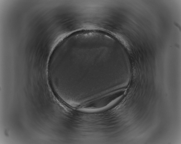 X0000097651327200803280920