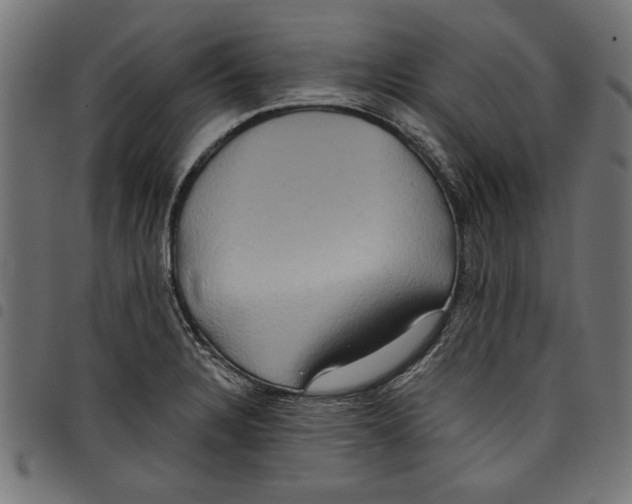 X0000097651328200803280920