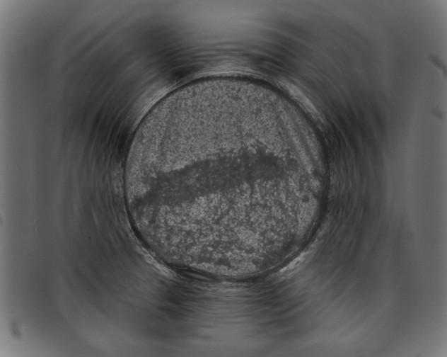 X0000097651329200803280920