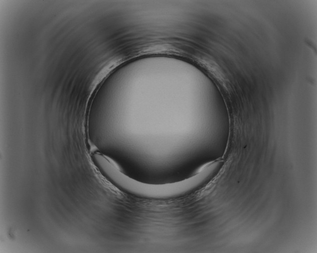 X0000097651330200803280920