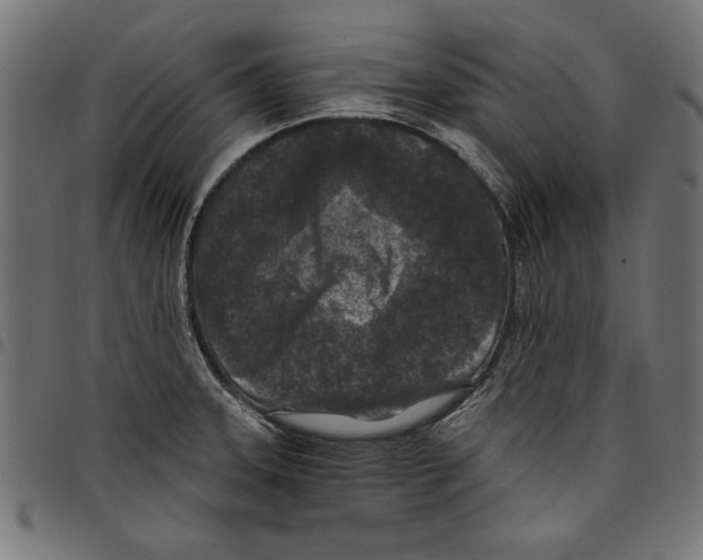 X0000097651331200803280920