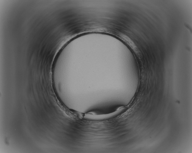 X0000097651332200803280920