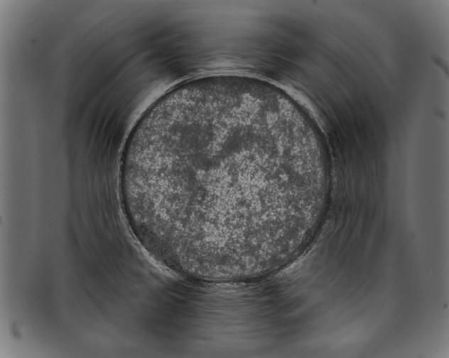 X0000097651333200803280920