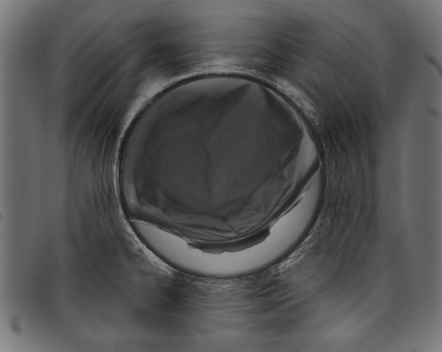 X0000097651334200803280920