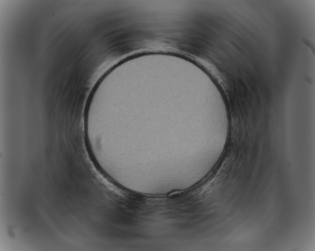 X0000097651335200803280920