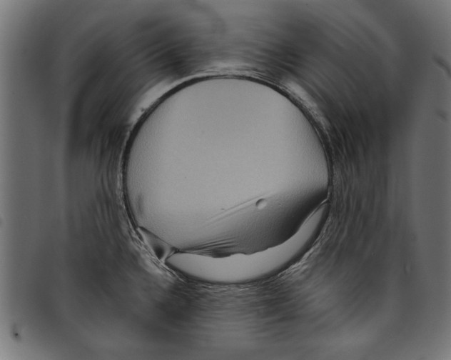 X0000097651336200803280920