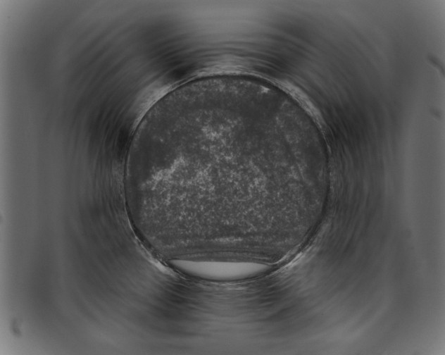 X0000097651337200803280920