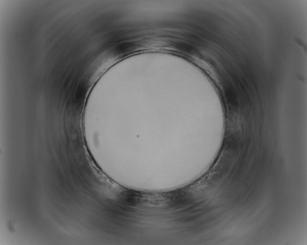 X0000097651338200803280920