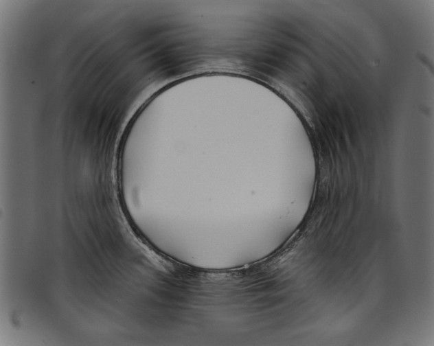 X0000097651339200803280920