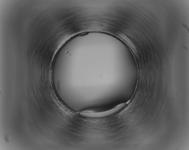 X0000097651340200803280920