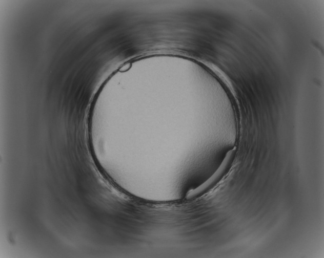 X0000097651341200803280920