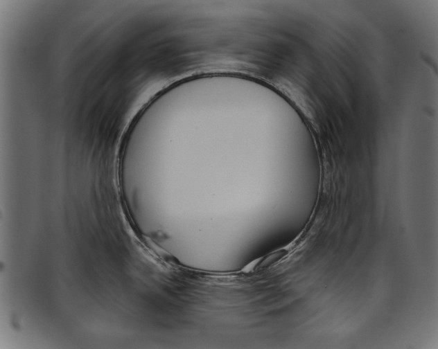 X0000097651342200803280920