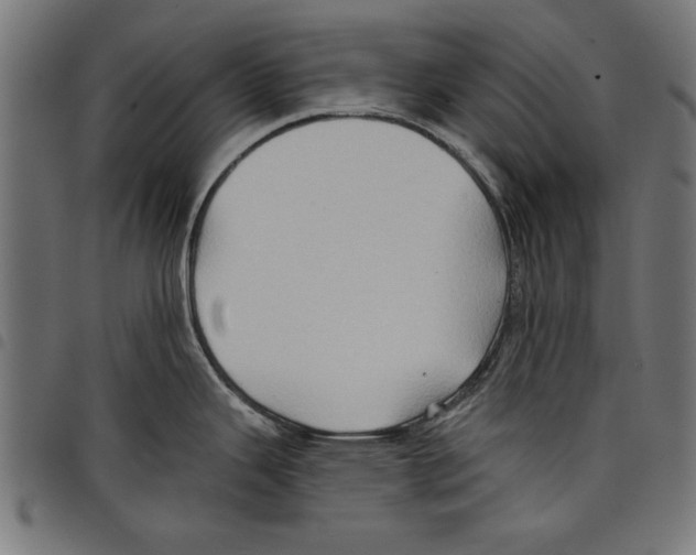 X0000097651343200803280920