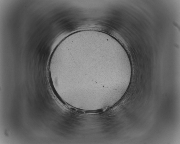 X0000097651344200803280920