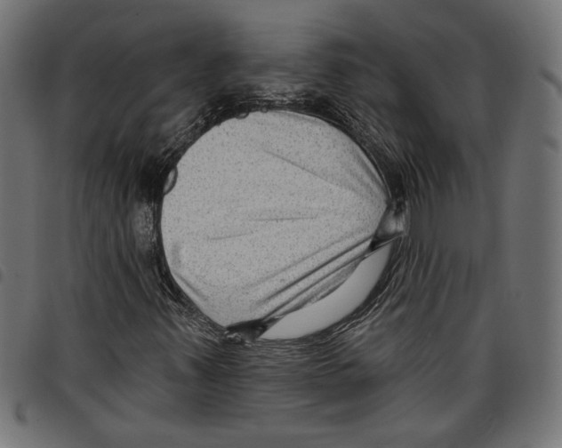 X0000097651347200803280920