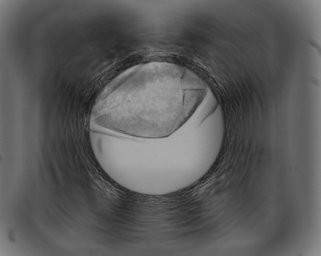 X0000097651348200803280920