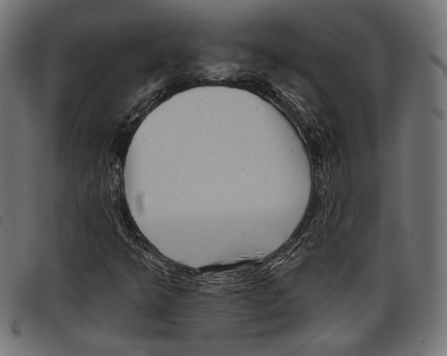 X0000097651349200803280920