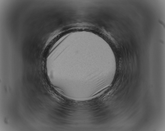 X0000097651352200803280920