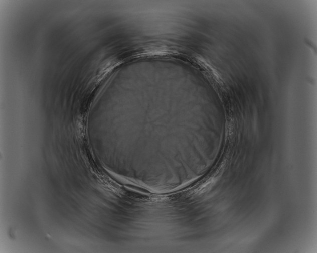 X0000097651353200803280920