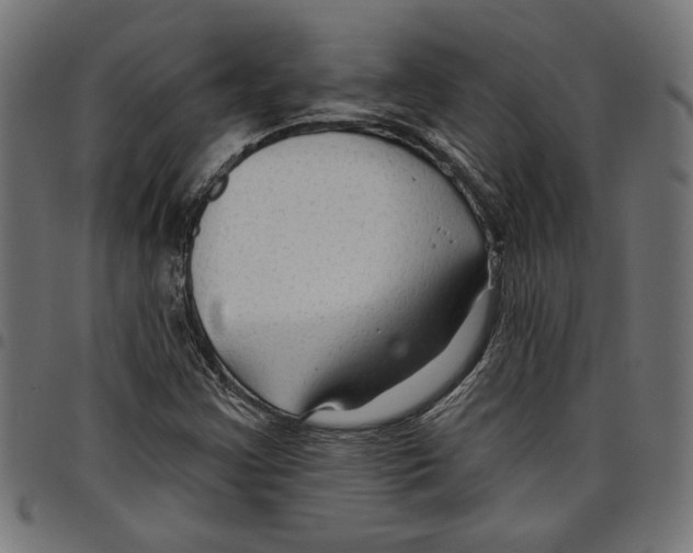 X0000097651355200803280920