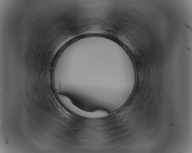 X0000097651356200803280920