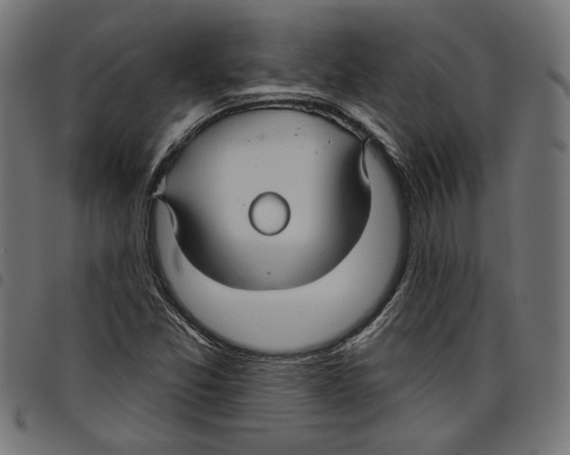 X0000097651357200803280920