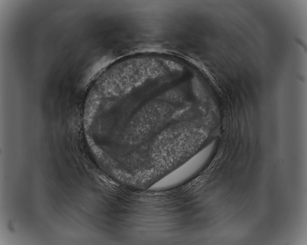 X0000097651359200803280920