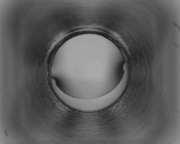 X0000097651360200803280919