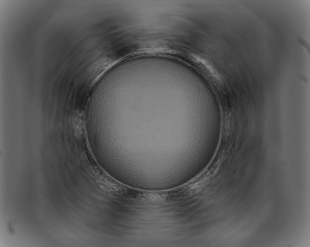 X0000097651361200803280919