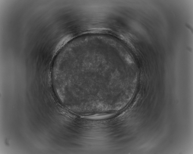 X0000097651362200803280919