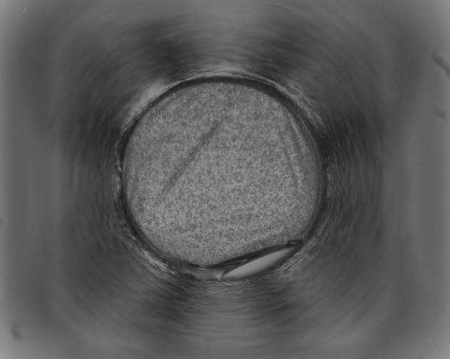 X0000097651363200803280919