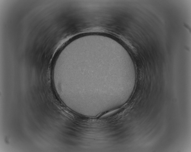 X0000097651364200803280919