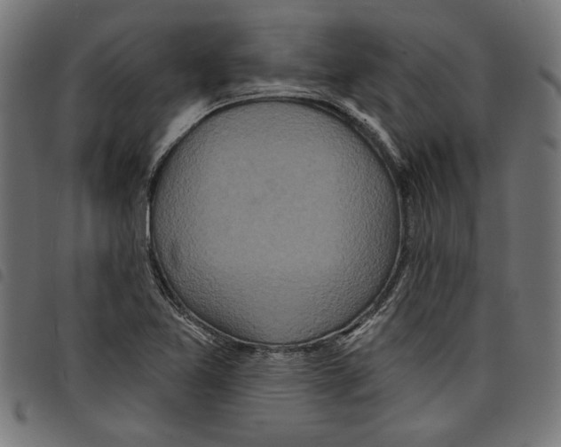 X0000097651365200803280919