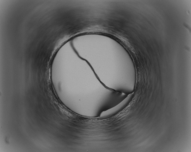 X0000097651366200803280919