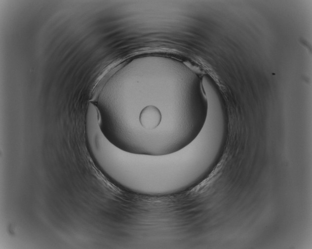 X0000097651369200803280919