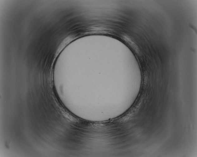 X0000097651370200803280919