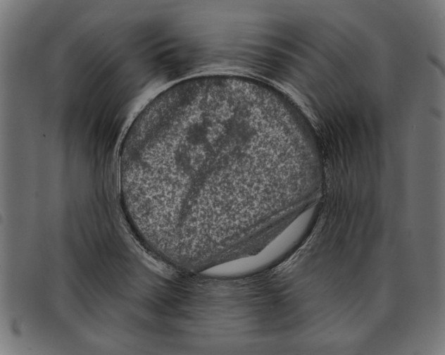 X0000097651371200803280919