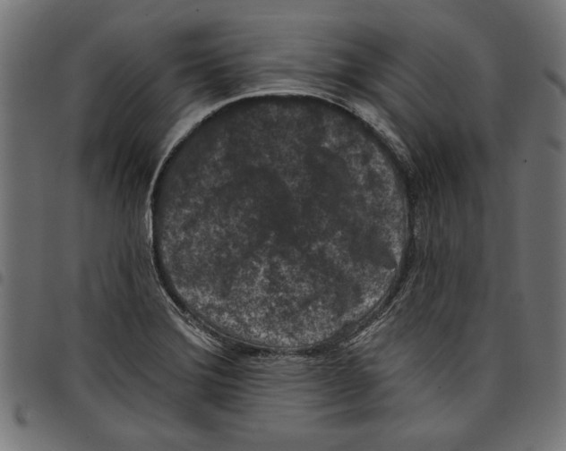 X0000097651372200803280919