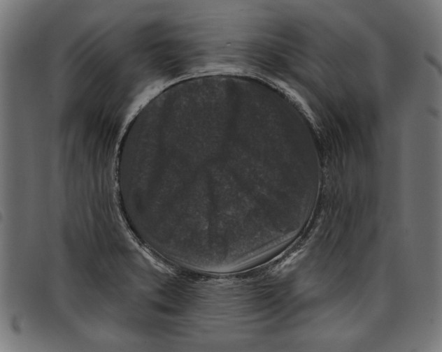 X0000097651373200803280919