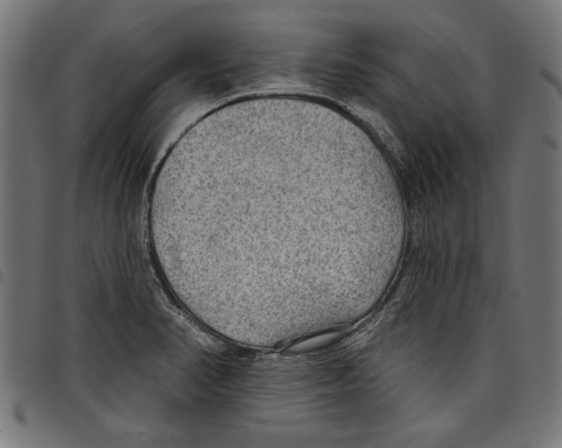 X0000097651374200803280919