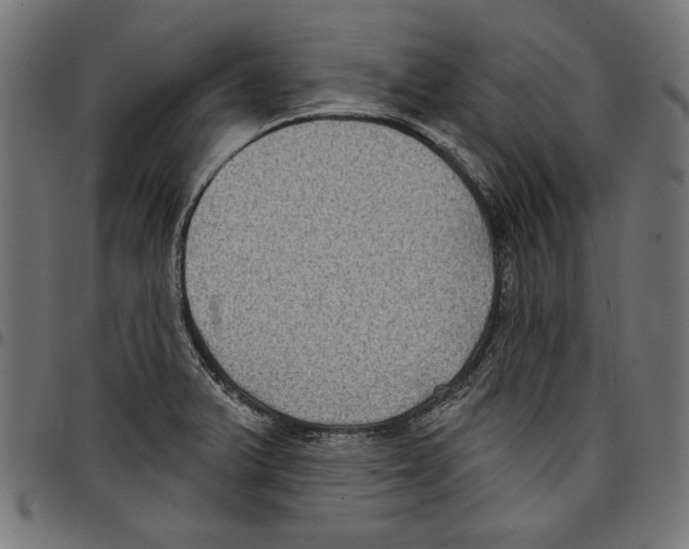 X0000097651375200803280919