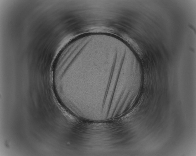 X0000097651376200803280919