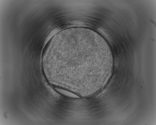 X0000097651378200803280919