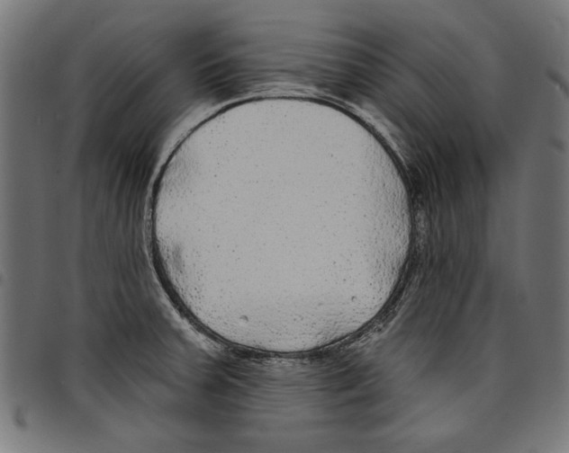 X0000097651379200803280919