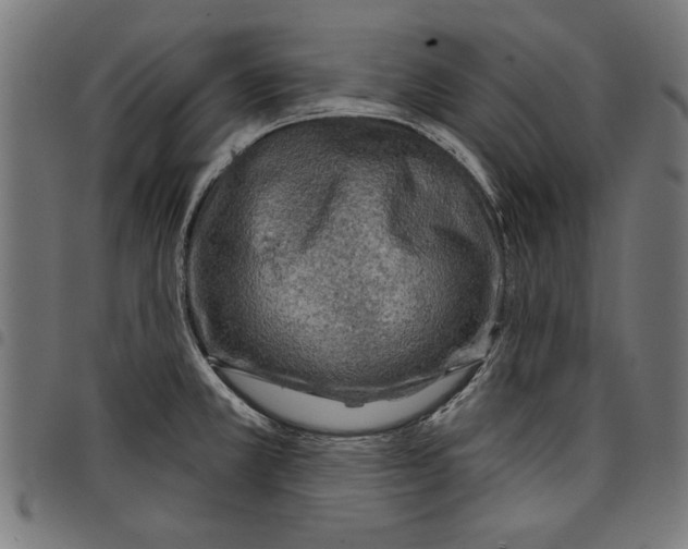 X0000097651381200803280919