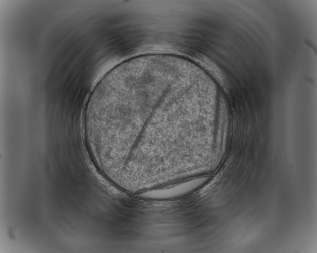 X0000097651382200803280919