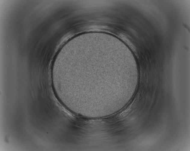 X0000097651384200803280919