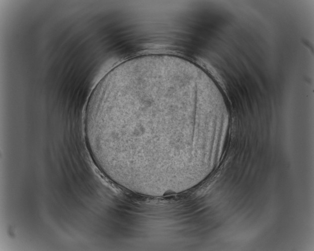 X0000097651386200803280919