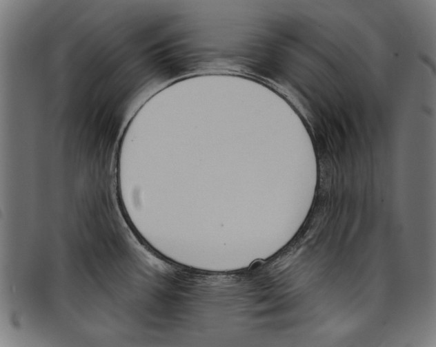 X0000097651387200803280919